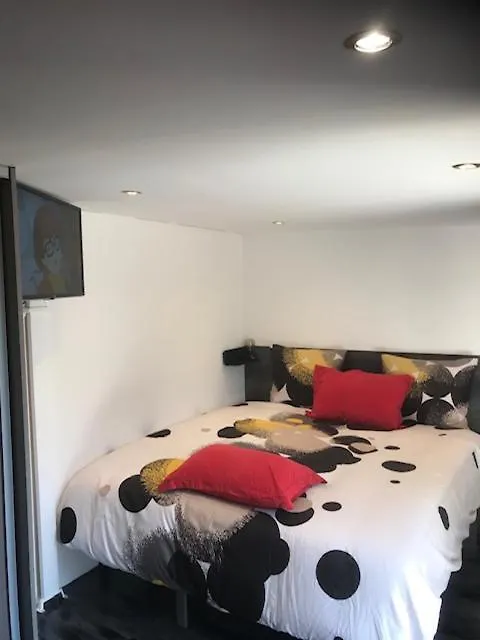 Appartement Majorelle Groupama Lyon Meyzieu