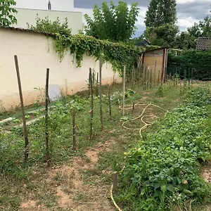 Appartement T2 Independant Proche Ol Stadium Et Salle Ldlc Arena, Meyzieu